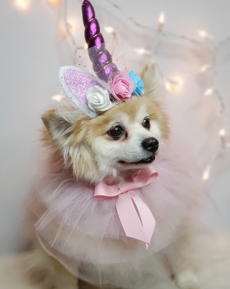 May include: A small, white dog wearing a pink tulle tutu and a unicorn headband with purple, pink, and blue flowers. The headband has a sparkly white ear and a purple horn.