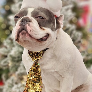 Christmas  Santa  hat   for  large size dog