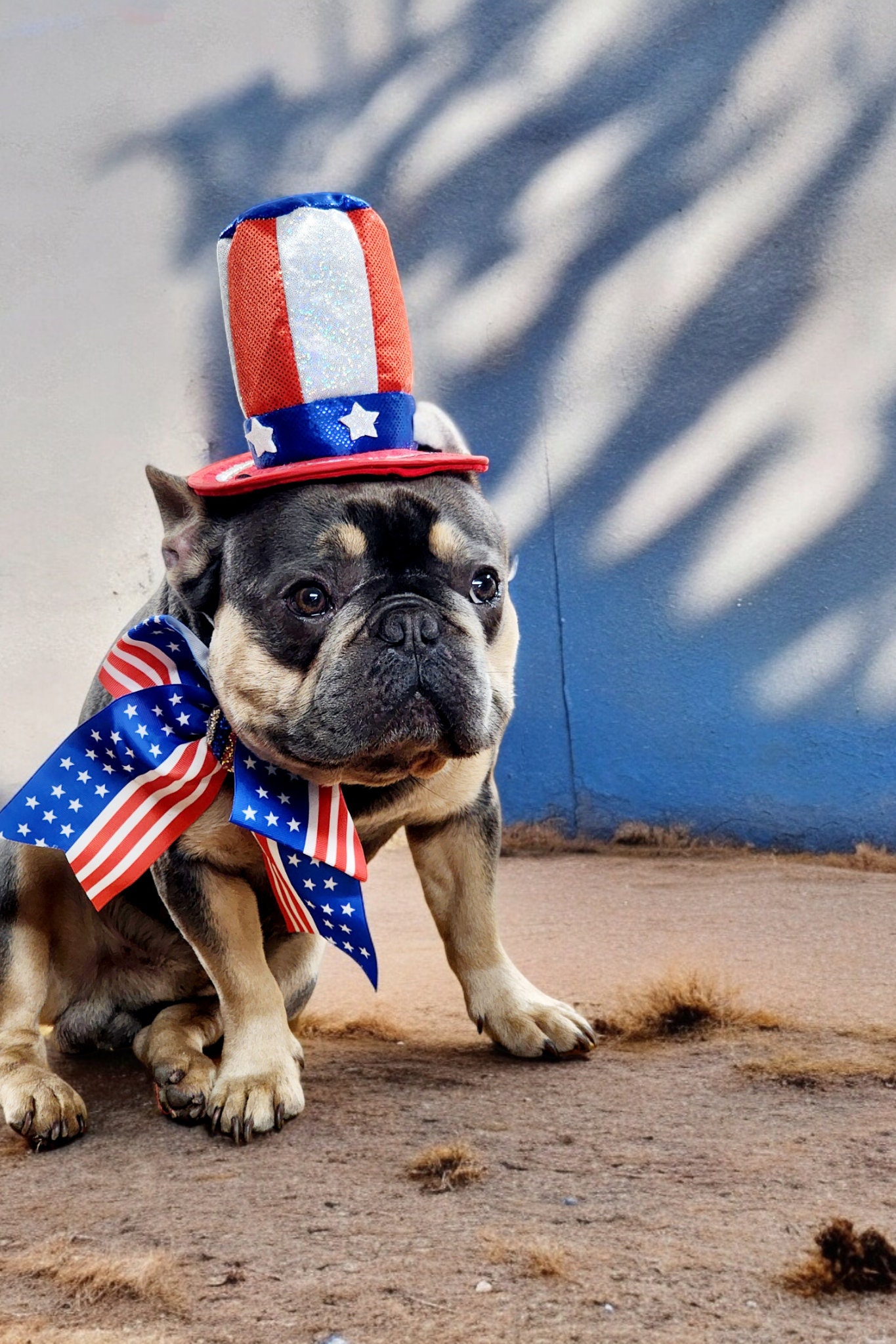 Independence Day Haustier-Stirnband – Blaue Sternschleife Für Hunde & Katzen, 4. Juli Party