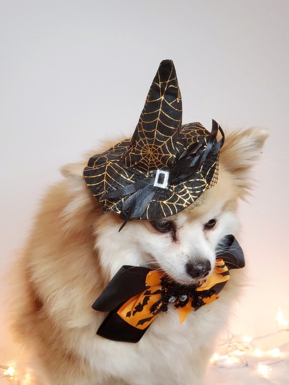 Cappello Da Strega Per Cani E Gatti: Costume Halloween Per Animali, Regolabile, Leggero E Divertente