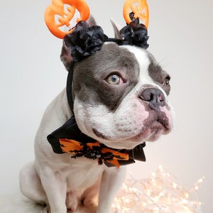 Beautiful headband and bow tie /Halloween costume/Dog costume / image 3