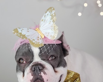 Elegant hat with   feather and   butterfly for dog or cat /Hat for small pet /Costume for dogs/