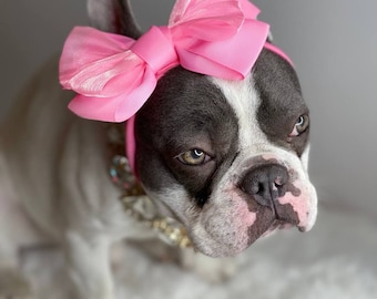 dog headband bow