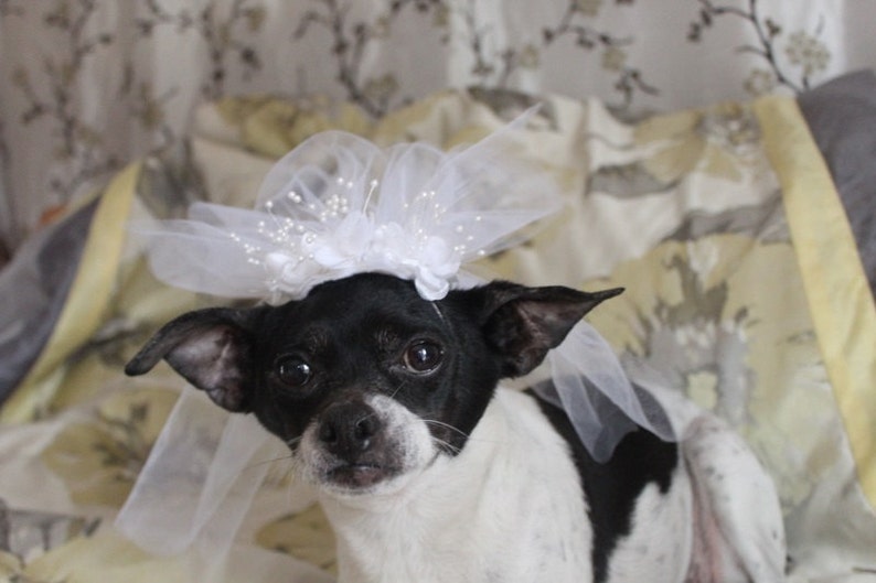 Cute bridal veil with white flowers for dog or cat/ Dog veil / Cat veil /Pet veil / image 4