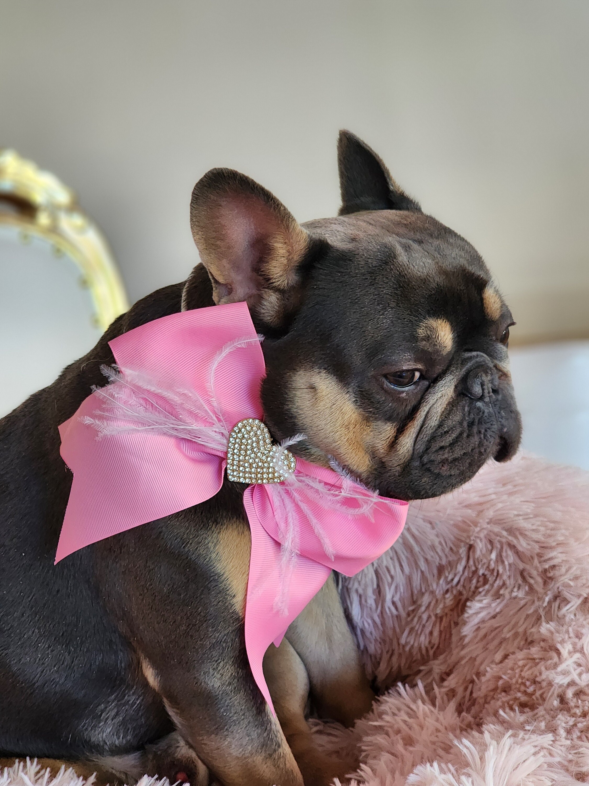 10 Stück Valentinstags-Hundekrawatten Mit Fliege & Rosa Rose | Verstellbare Halsbänder 20-38 Cm | Für Kleine & Mittelgroße Hunde