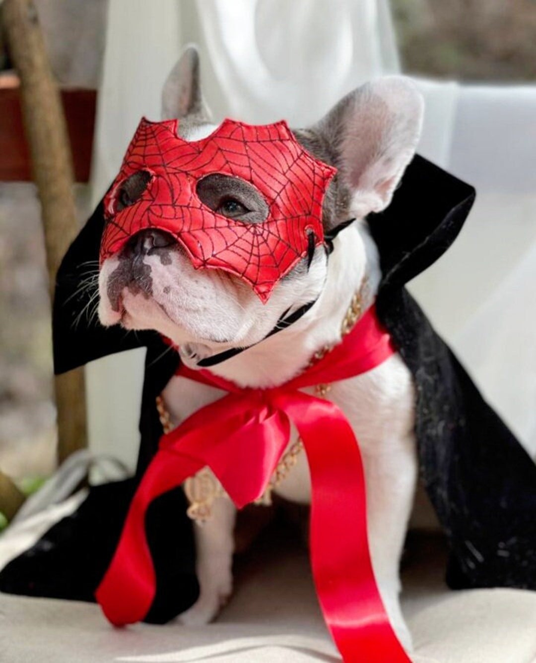 Spider man dog costume discount