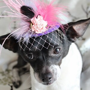 Cute purple color mini hat with feather and flowers for dog or cat /Costume for dog /small dog hat / image 2