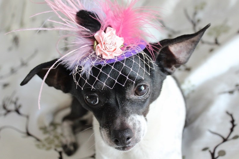 Cute purple color mini hat with feather and flowers for dog or cat /Costume for dog /small dog hat / image 2