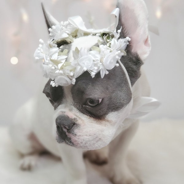 Set flower crown and neck bow / Garden Flowers Pet wedding Set /Flower Crown/ Dogs Floral Headband /Cat Flower Crown Outfits/