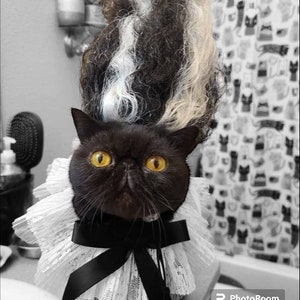 Frankenstein wig for pets / Frankenstein dog wig  /Cat costume for Halloween/Cute white and   black color wig  for your pet/
