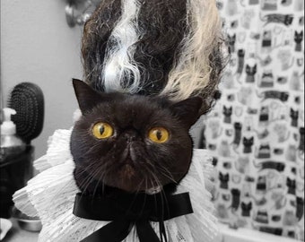 Frankenstein-pruik, verstelbaar kat-/hondkostuum voor halloween