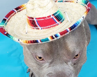 Dog Sombrero Hat: Adjustable Elastic, Halloween Costume
