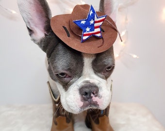 Cowboy mini  hat for dog or cat /Halloween pet hat /Cowboys pet hat /