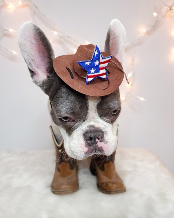 Cat /halloween Pet Hat /cowboys Pet 