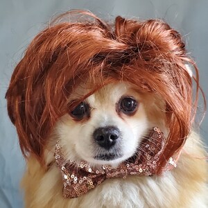 Cute pet wig for dog or cat /Halloween dog wig / Costume cat wig /Dog costume / Cat costume / image 2