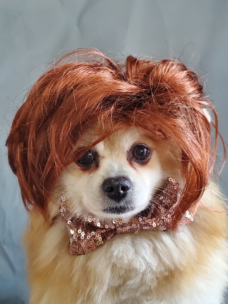 Cute pet wig for dog or cat /Halloween dog wig / Costume cat wig /Dog costume / Cat costume / image 2
