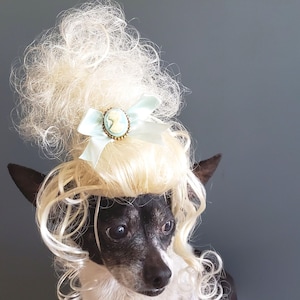 Pet  Marie Antoinette   wig blond  color  for dog / Halloween pet wig / Costume wig  for dogs /