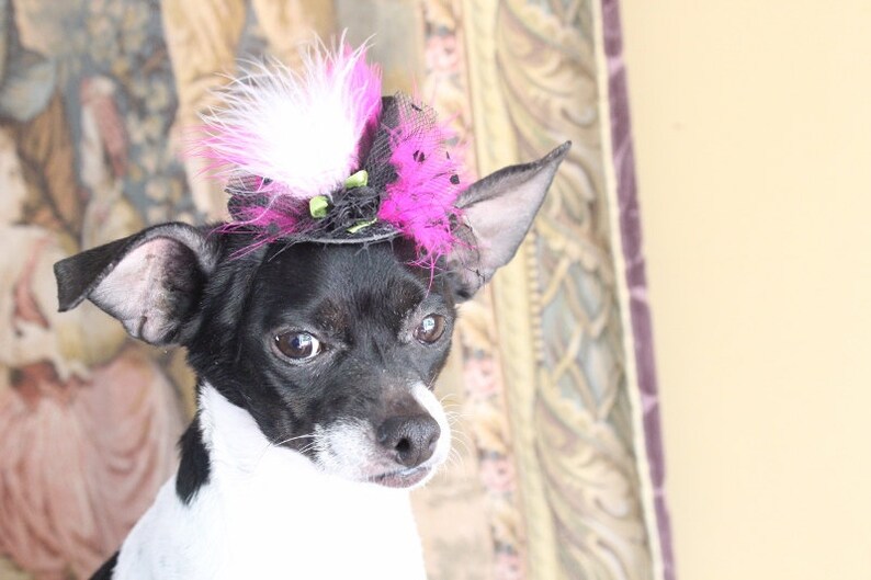 Cute black color mini hat with black pink and white color feather and flowers for dog or cat