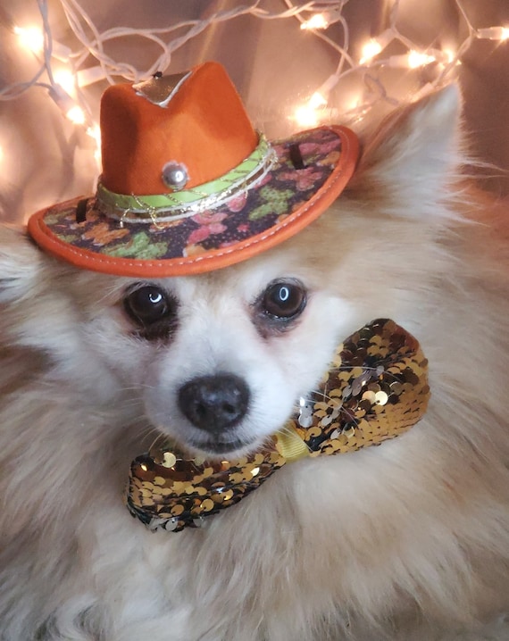 Chihuahua cowboy costume cheap