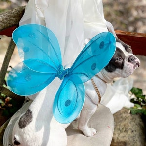 Butterfly wings for pet / Halloween costume/Dog costume/Dogs costume /