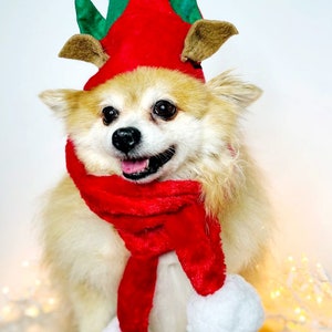Elf Dog Hat /Elf Cat Hat / Elf Hat Costume for Pets /Dog Top Hat /Christmas Hat Costume image 4