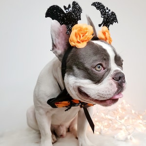 Dog costume/Beautiful  headband  and bow tie /Halloween costume/Dog costume /