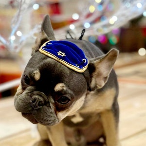 Conjunto de chapéu e laço para cachorro kippah hanukkah para cachorro ou gato/presente para cachorro hanukkah/yarmulke para cães/yarmulke para gatos //kippah para cachorro