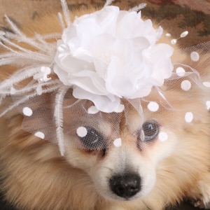 Cute white color wedding hat for dog or cat/White color hat for small pet/Hat for small dog/