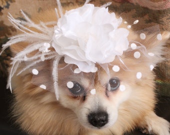 Cute white color wedding hat for dog or cat/White color hat for small pet/Hat for small dog/