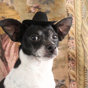 Cowboy hat for dog or cat black color /Small animals hat/Halloween dog hat /Cowboy dogs hat/ image 4