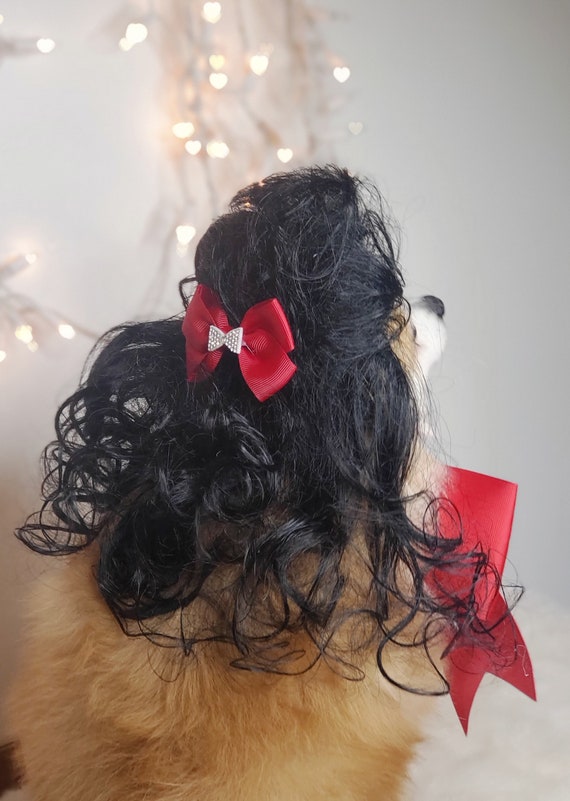 Parrucca Di Leone Per Animali Domestici - Costume Cosplay Per Gatti E Cani Piccoli, Halloween E Feste - Foto 10