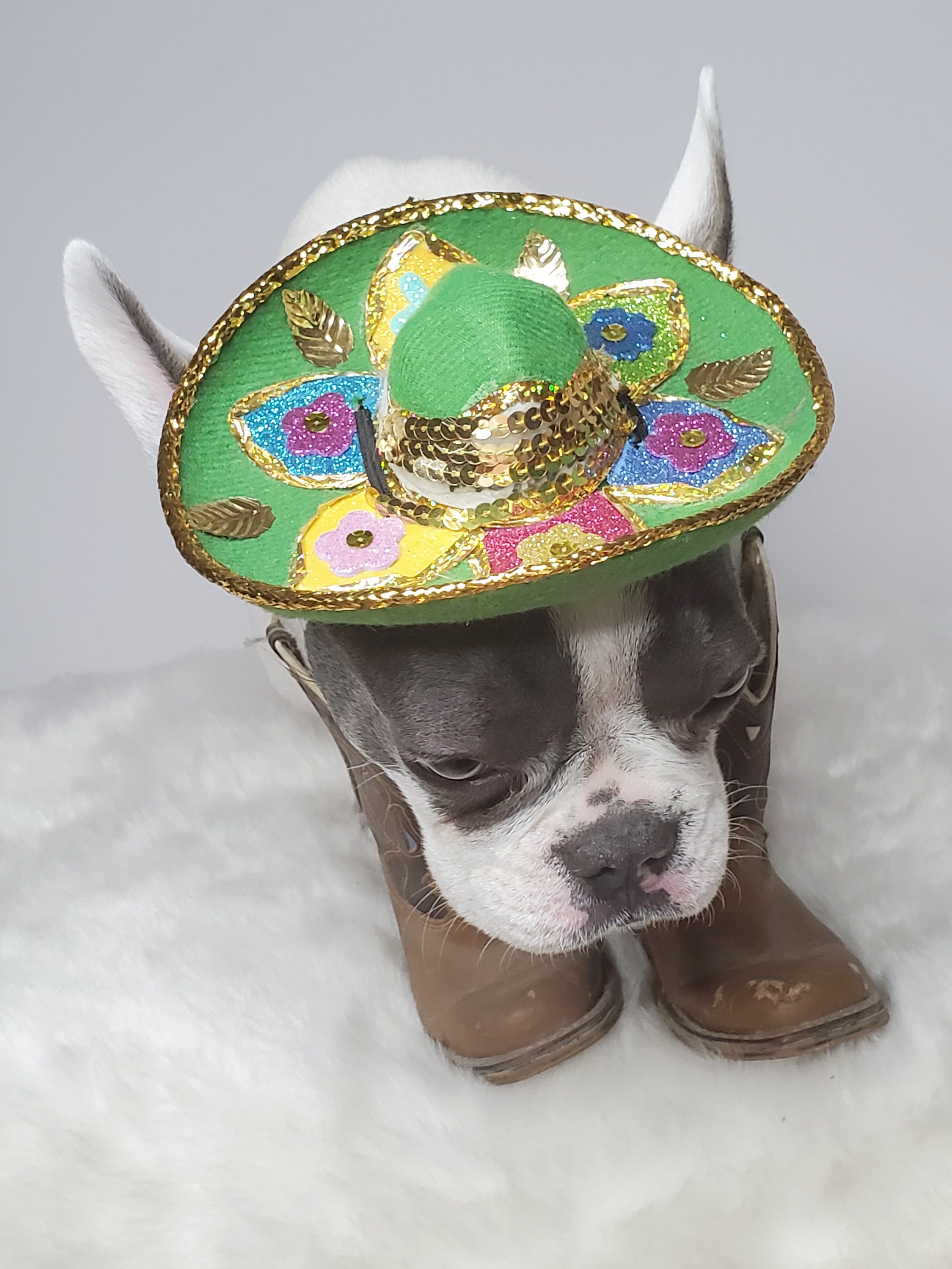 Cute Sombrero Hat for Dog or Cat 