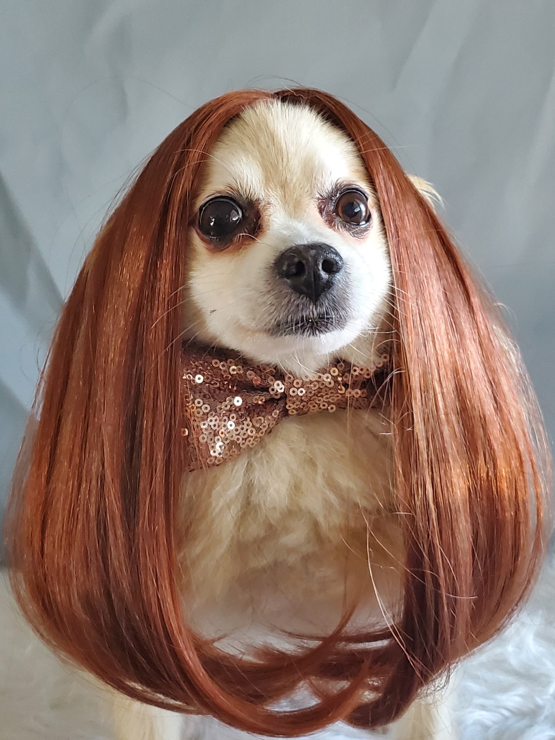 Cute Pet Wig for Dog or Cat/halloween Dog Wig/costume Cat Wig/wig for