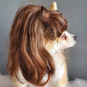 Pet Wig Brown Color for Dog or Cat / Pony Tail Wig / Halloween Dog Wig ...