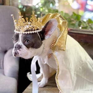 Gold color Crown   for dog or cat /Princess dog crown / Crown for dog /Princess crown/