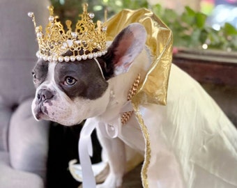 May include: A French bulldog wearing a white and gold cape and a gold crown with pearl accents. The dog is sitting on a wooden surface.