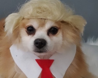 Donald Trump Pet   wig and red color   neck tie  for dog or cat