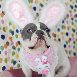 Easter Bunny headband for dog or cat /Bunny dog hat / Bunny dogs costume/ imagem 7