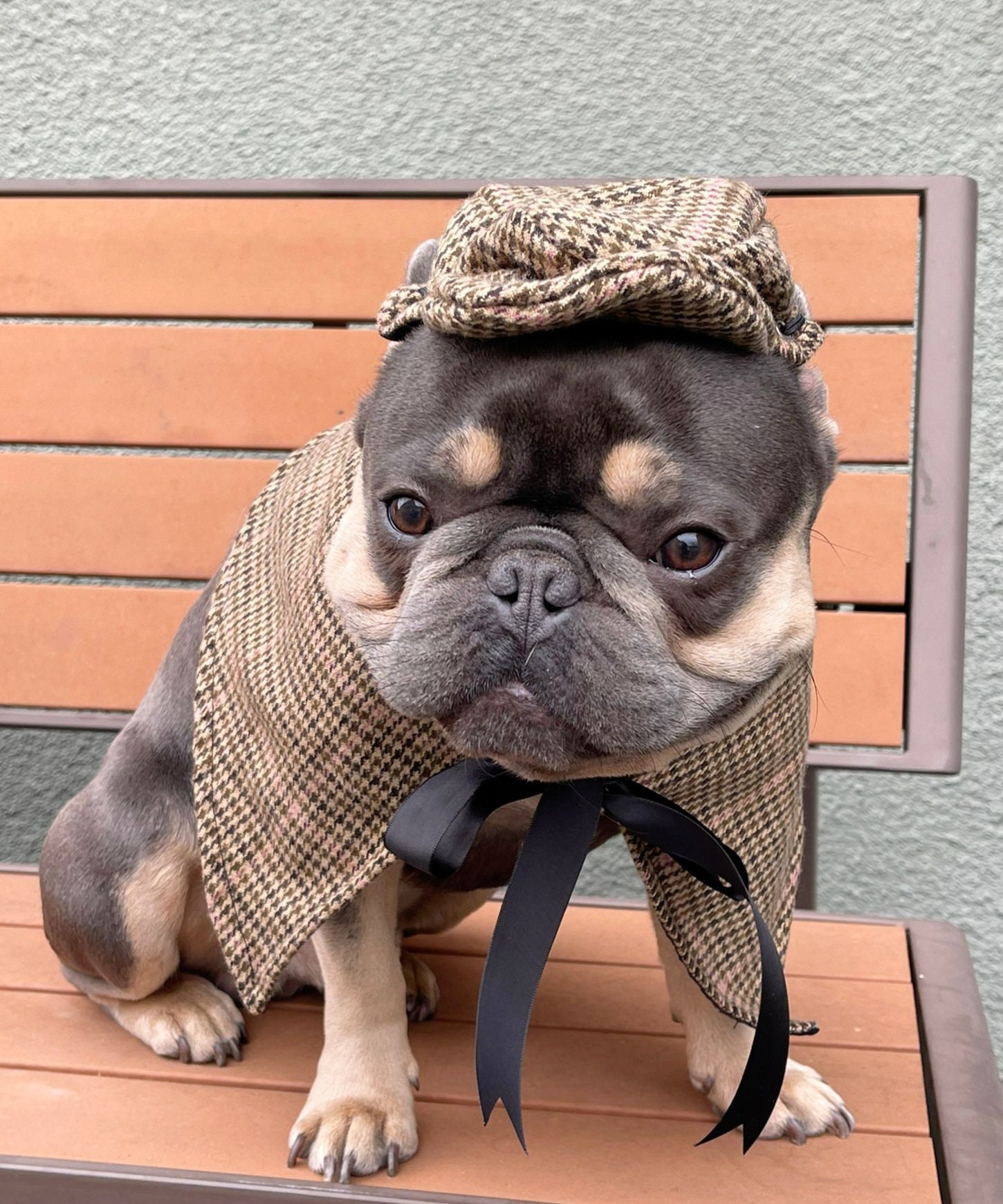 Tweed Dog Hat Etsy UK