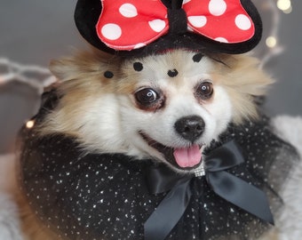 Mini mouse hat and collar for dog of cat / Halloween dog costume/