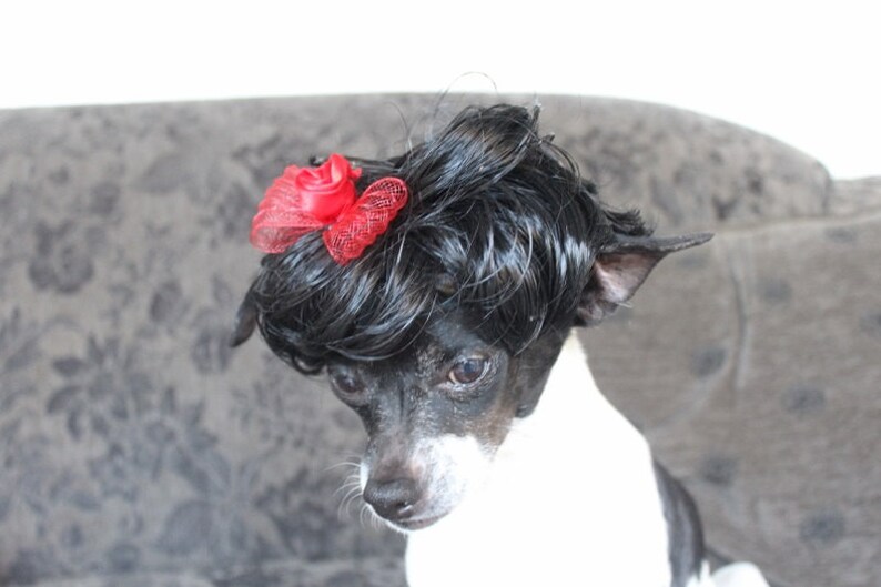 Black color pet wig with red color bow