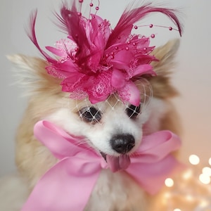Elegant hat with   feather and   flower for dog or cat /Hat for small pet /Costume for dogs/