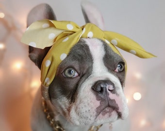Pet Headband for Dog or Cat: Elegant Costume Accessory