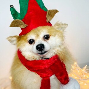 Elf Dog Hat /Elf Cat Hat / Elf Hat Costume for Pets /Dog Top Hat /Christmas Hat Costume image 3