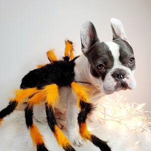Spider costume for pets / Halloween costume/Dog costume/ image 3