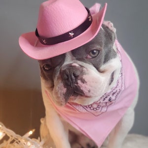 Cowboys hat for large dog /Dog costume /Frenchies cowboy hat / image 3