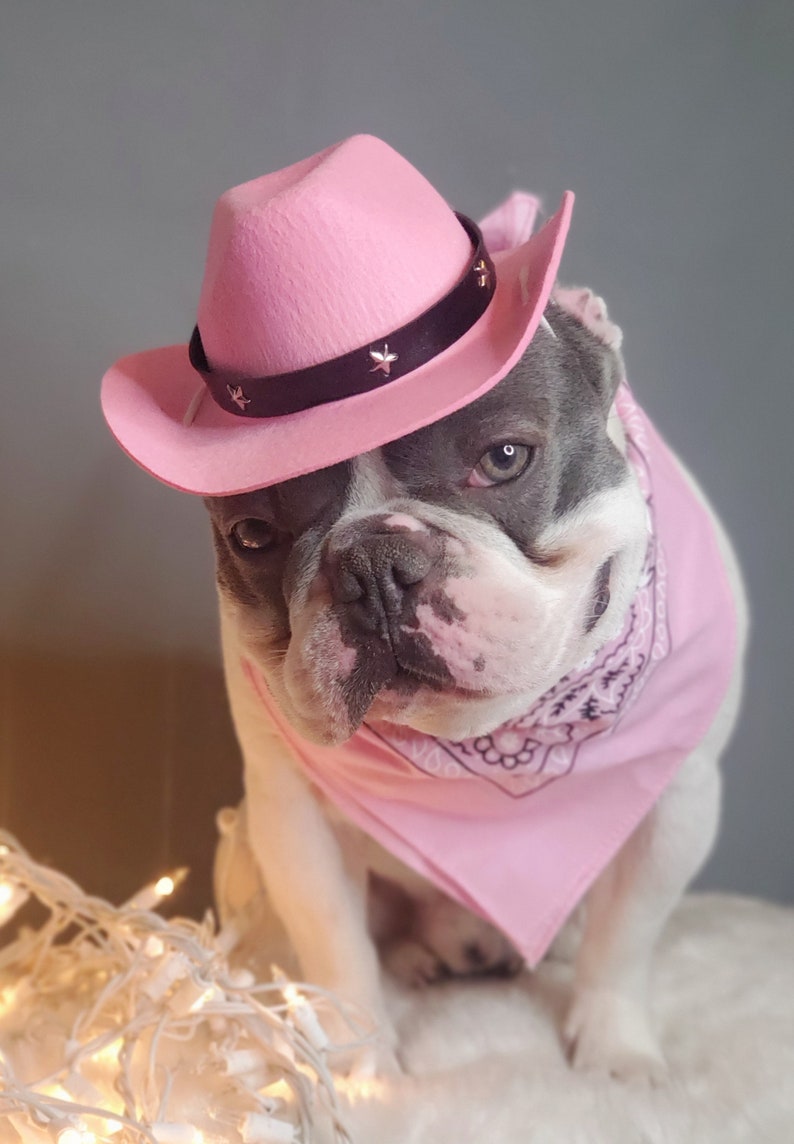 Cowboys hat for large dog /Dog costume /Frenchies cowboy hat / image 3