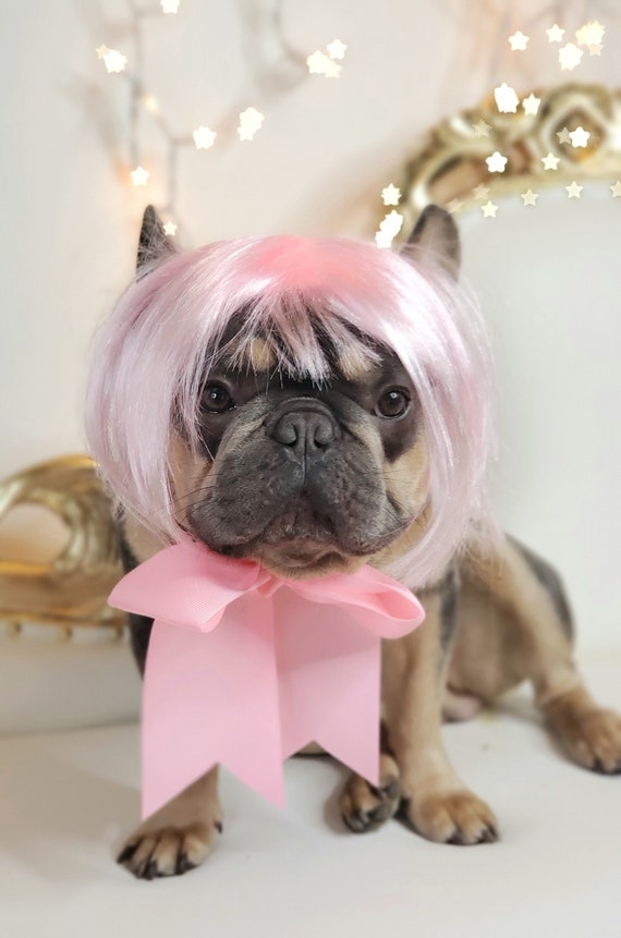 Pet Costume Wig: Elegant Puppy or Cat Accessory