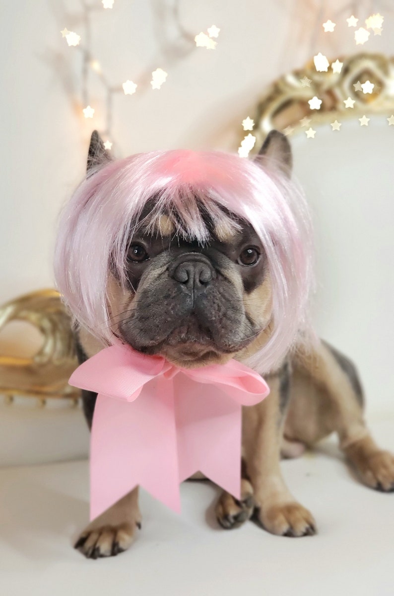 May include: A French Bulldog wearing a pink wig and a large pink bow. The dog has a black and tan coat and is sitting in front of a white background. Decorative lights are in the background.