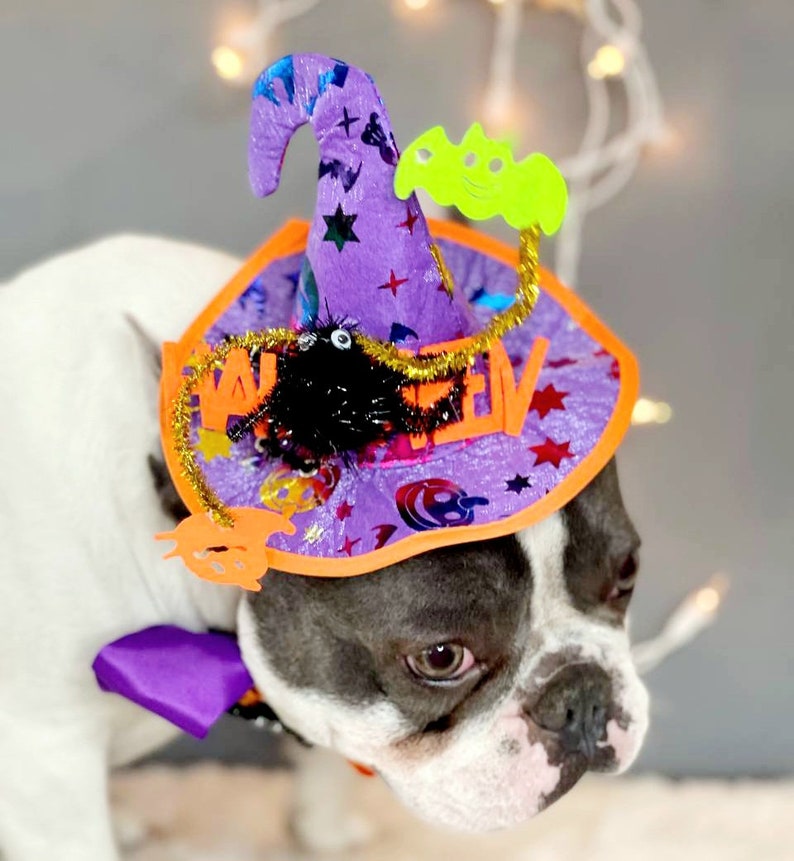 Sombrero de bruja para perro/ Sombrero de Halloween color negro con pajarita/Disfraz de perro/Disfraz de Halloween/Disfraz de Halloween de gato/Disfraz de perro imagen 5